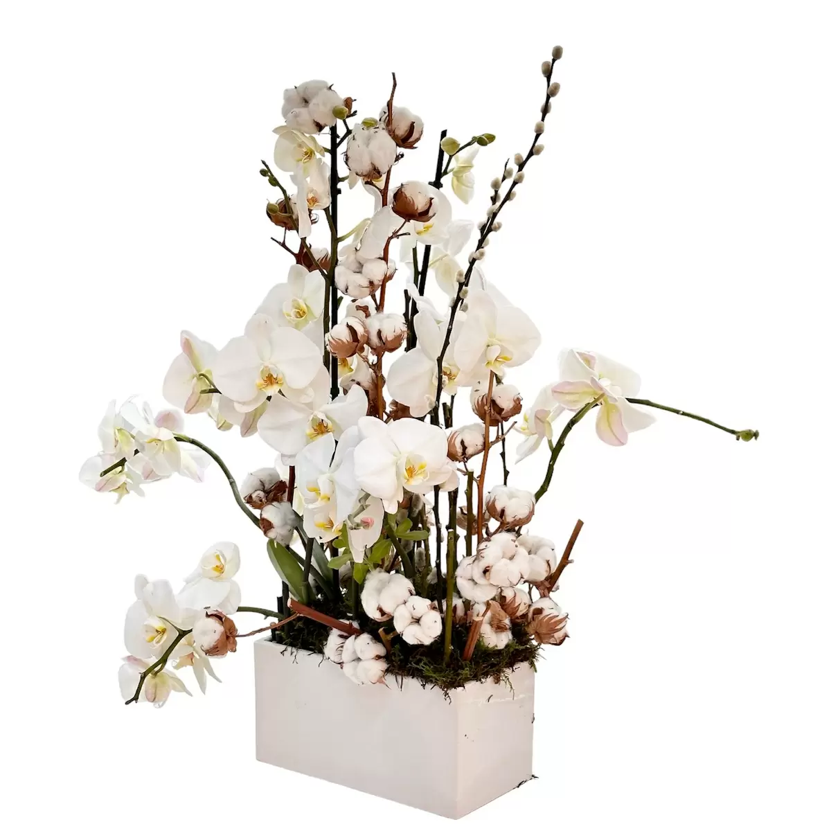 Aranjament floral orhidee si bumbac, Aniversare Delux