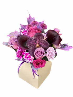 ,,,,,,,,,,,,,,,,,,,,,,