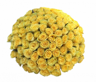 buchet aranjament floral 71 trandafiri galbeni ce pot fi livrati la domiciliu in doar 2-4 ore in Capitala si Ilfov, in restul tarii, livrarile sunt efectuate in 4-6 ore zilnic.