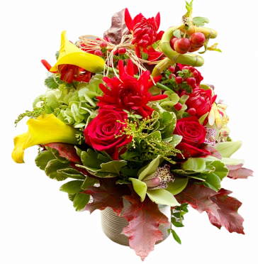 ,,,,,,,,,,,,,,,,,,,,,,,,,,,,,,,,,,,,,