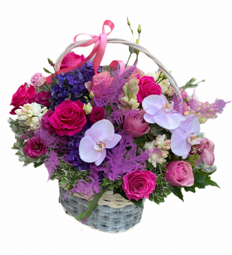 ,,,,,,,,,,,,,,,,,,,,,,