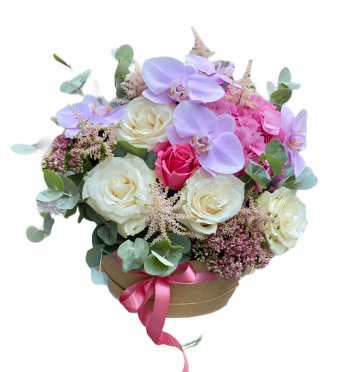 ,,,,,,,,,,,,,,,,,,,,,,