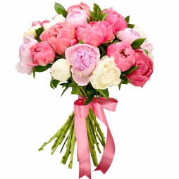 Buchet cu 25 fire bujori