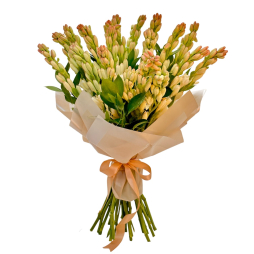 Buchet 25 tuberoze