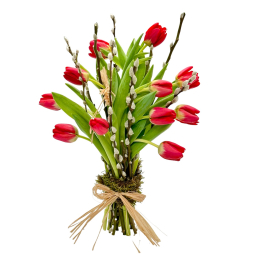 Iubire de primavara, lalele rosii in buchet cu muguri de salcie