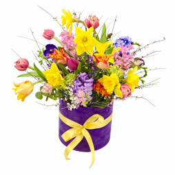 Aranjament floral in cutie catifea mov zambile lalele frezii multicolore