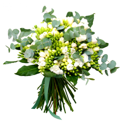 Buchet 51 frezii albe cu eucalipt si funda saten