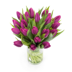 Buchet cu flori de primavara 19 lalele mov