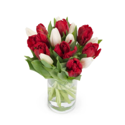 Buchet de flori de primavara 17 lalele albe si rosii