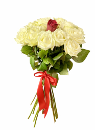 Buchet 18 trandafiri albi si unul rosu cu funda rosie