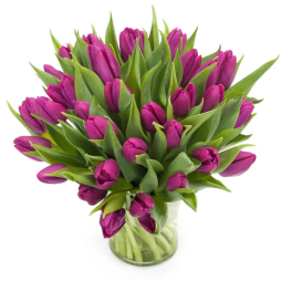 Buchet cu flori de primavara 29 lalele mov