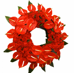 Coroana funerara rotunda 30 Anthurium 200 Garoafe rosii