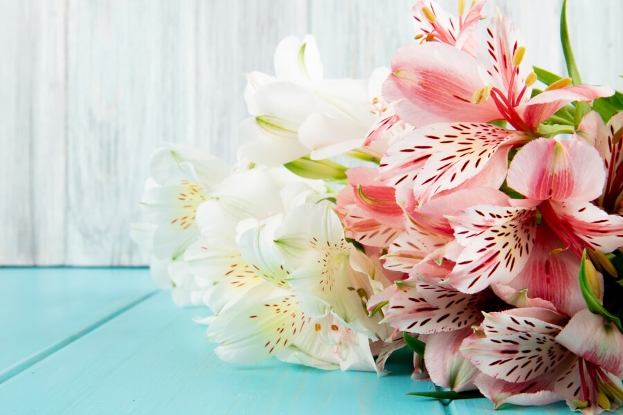 aranjament floral alstroemeria roz si alb