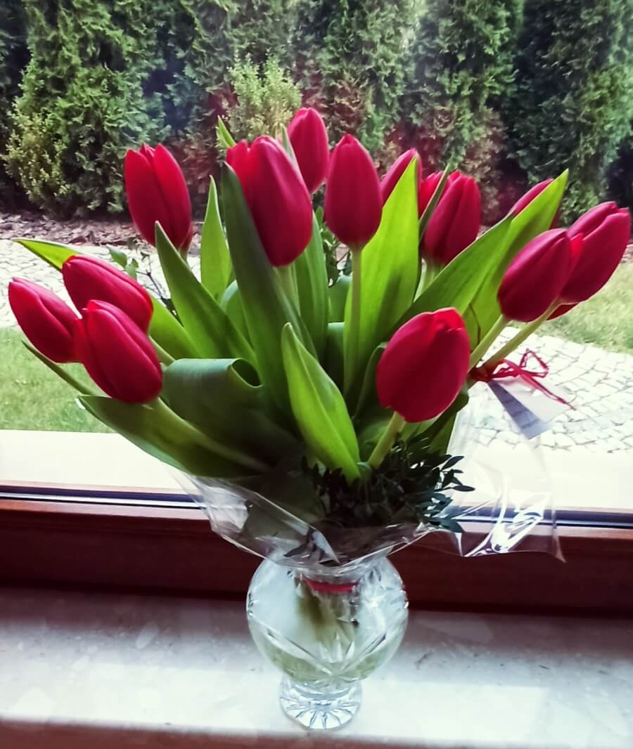 buchet lalele rosii