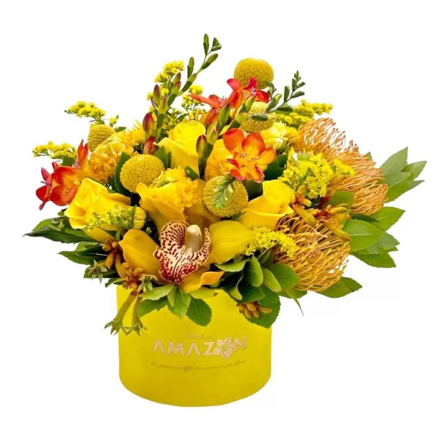 tehnici de ingrijire a florilor in lunile de vara