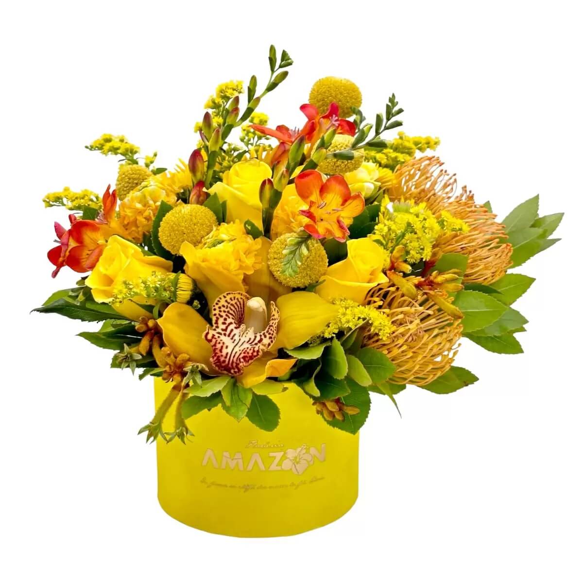 Cutie flori de primavara cu ranunculus galben